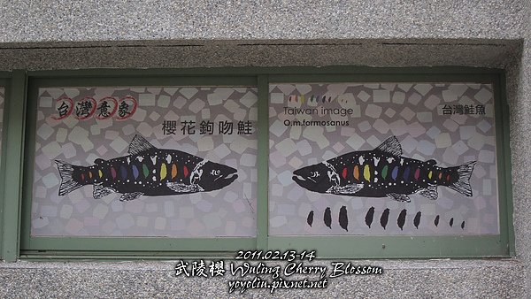 p_IMG_7150.jpg