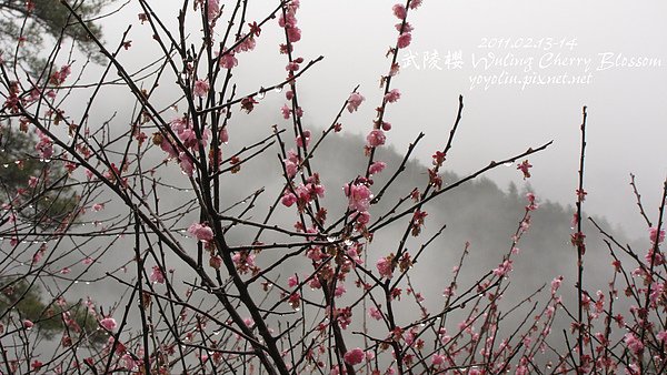 p_IMG_7166.jpg