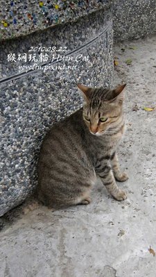 p_IMG_2794.jpg