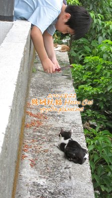 p_IMG_2787.jpg