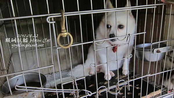 p_IMG_2713.jpg