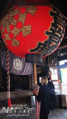 p_IMG_4206.jpg