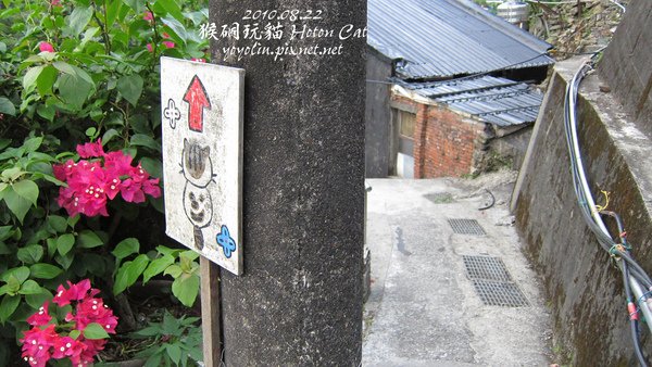 p_IMG_2696.jpg