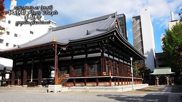 p_IMG_4840.jpg