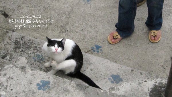 p_IMG_2736.jpg