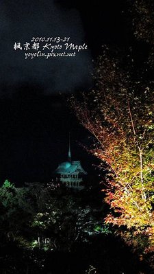 p_IMG_4527.jpg