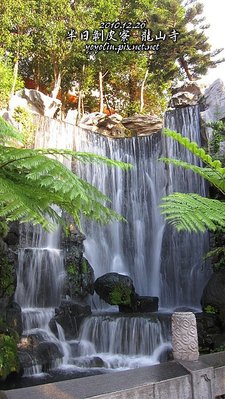 S_p_IMG_6554.jpg