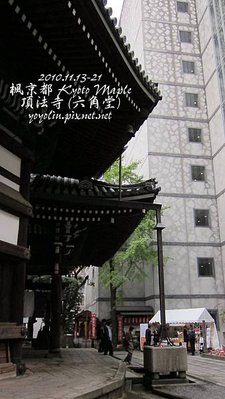 p_IMG_4219.jpg