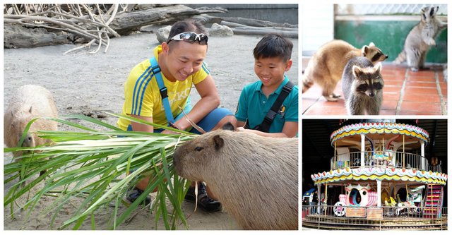 【台南親子景點】頑皮世界野生動物園fb.jpg