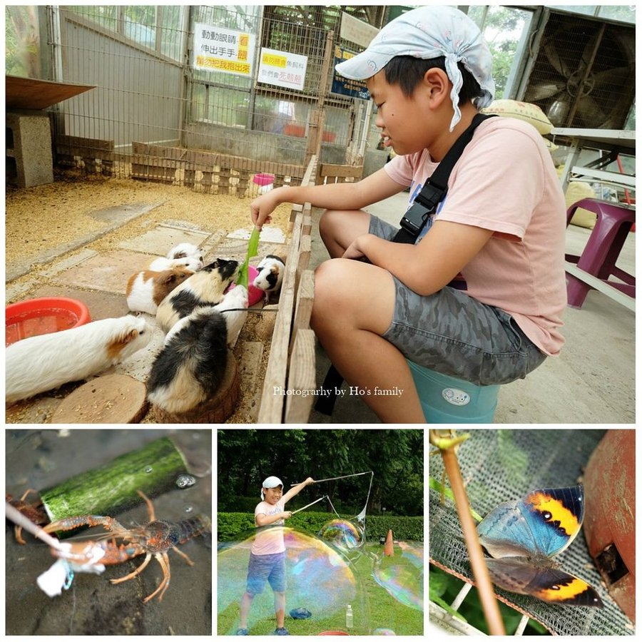 【新北親子景點】五股準園休閒生態農場～餵動物、釣蝦、野餐、披薩DIY、賞螢，城市綠野生態樂園新北親子一日遊.jpg