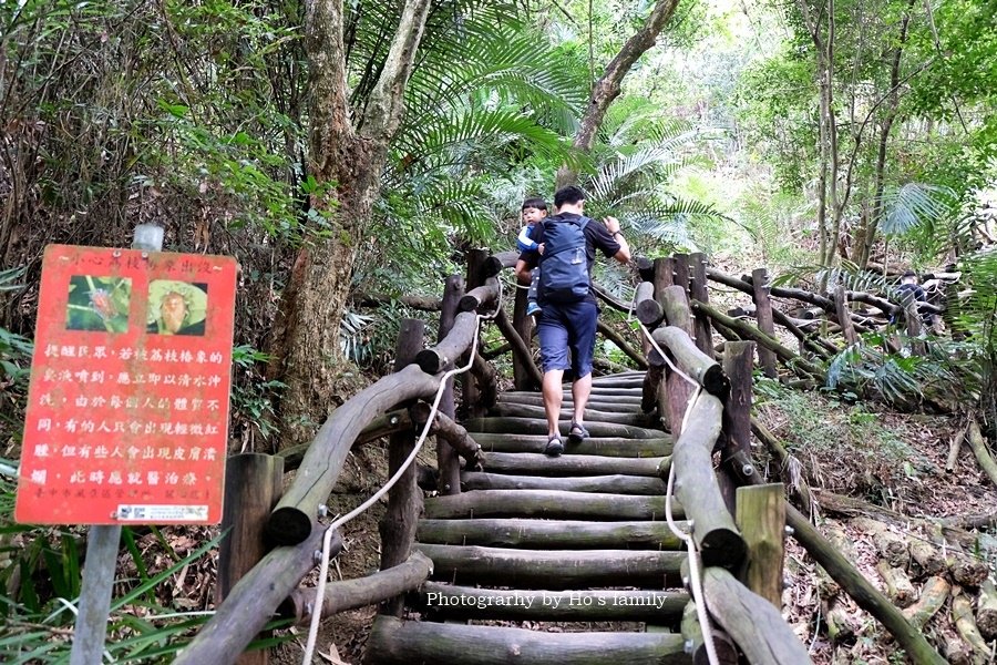 【台中親子景點】大坑風動石公園（風動石森林體驗空間）2.JPG