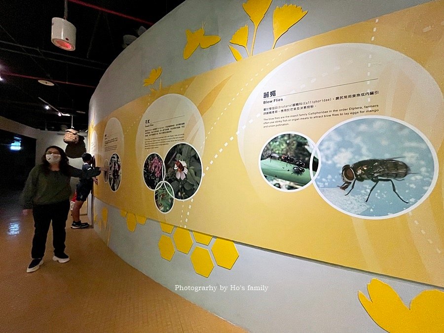 苗栗公館景點》臺灣蠶蜂昆蟲教育園區44.JPG
