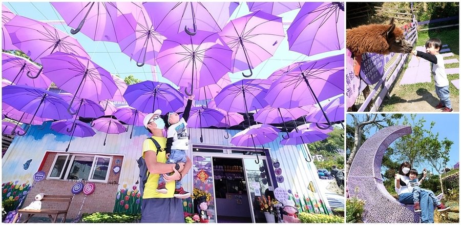 苗栗西湖景點》噢哈娜咖啡屋景觀餐廳.jpg