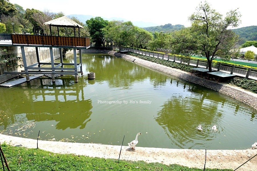 苗栗苑裡景點》綠意山莊～拍照打卡親子景點還能露營烤肉住宿2.JPG