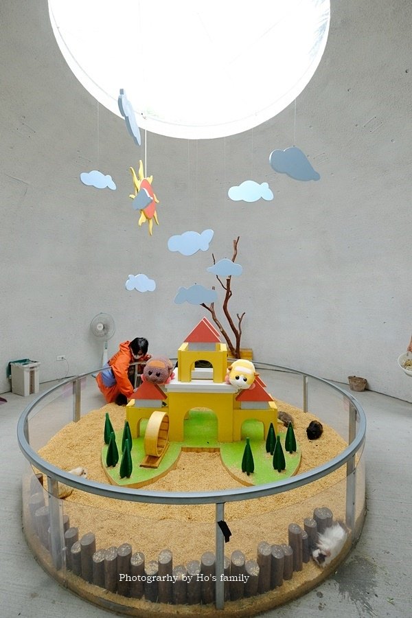 宜蘭礁溪景點》回巢～宜蘭親子農場小型動物園！笑笑羊、象龜、天竺鼠、狐獴近距離接觸餵食27.JPG