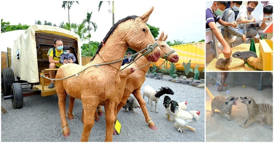 宜蘭礁溪景點》回巢～宜蘭親子農場小型動物園！笑笑羊、象龜、天竺鼠、狐獴近距離接觸餵食fb2.jpg