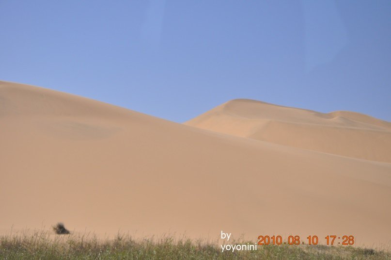 DSC_0116沙漠紋路.JPG