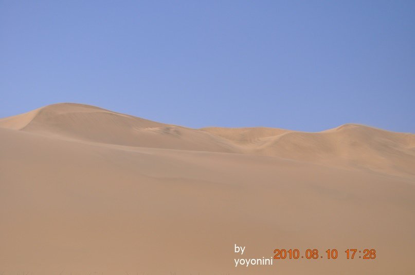 DSC_0118連拍二.JPG