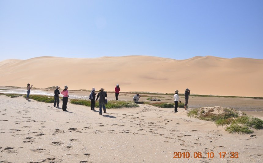 DSC_0134是我們團員.JPG