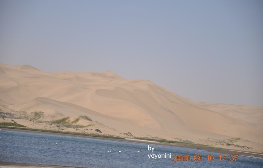 DSC_0149沙漠中有草在其中.JPG