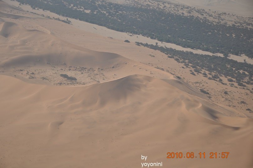 DSC_0448沙紋.JPG
