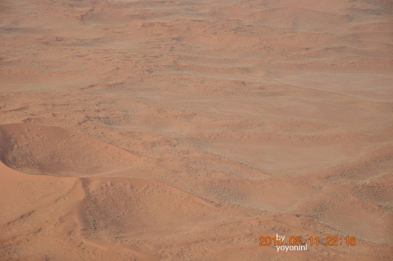 DSC_0697連拍二.JPG