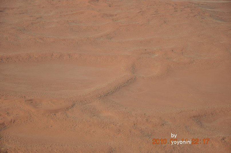 DSC_0709像人頭站立.JPG