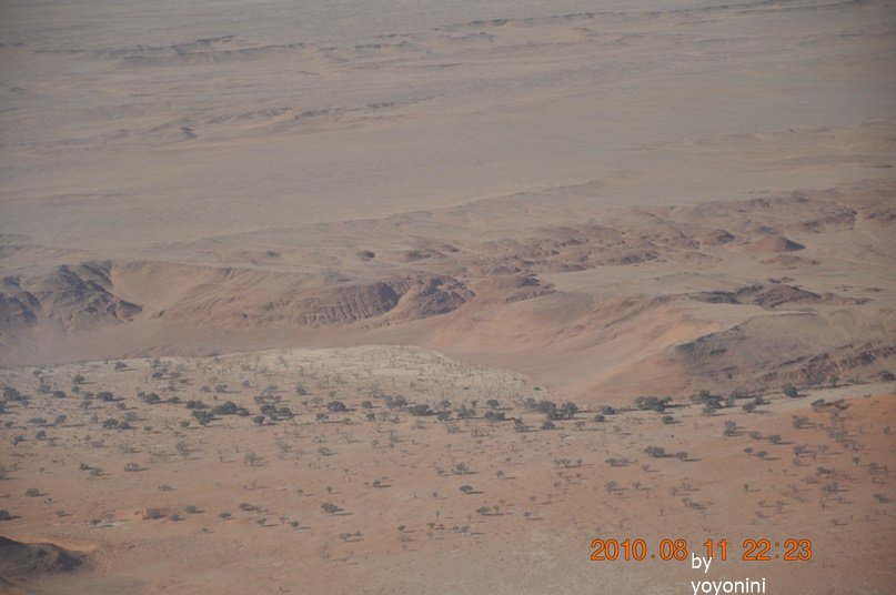 DSC_0764連拍二.JPG