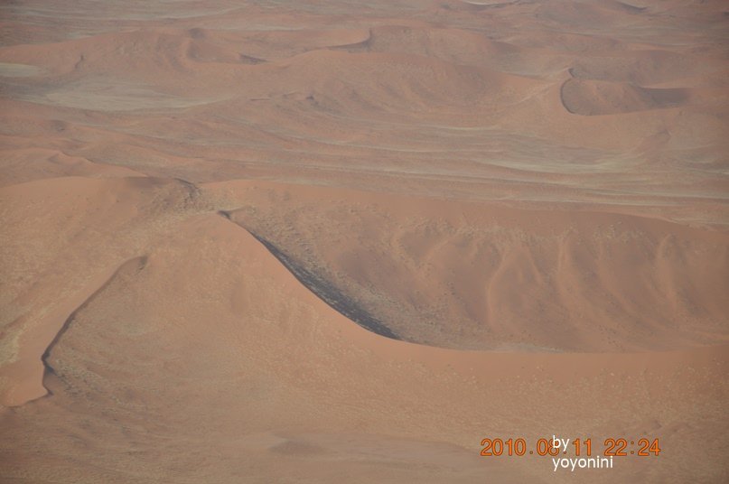 DSC_0786連拍二.JPG