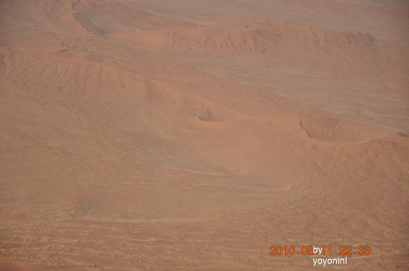 DSC_0869連拍四.JPG