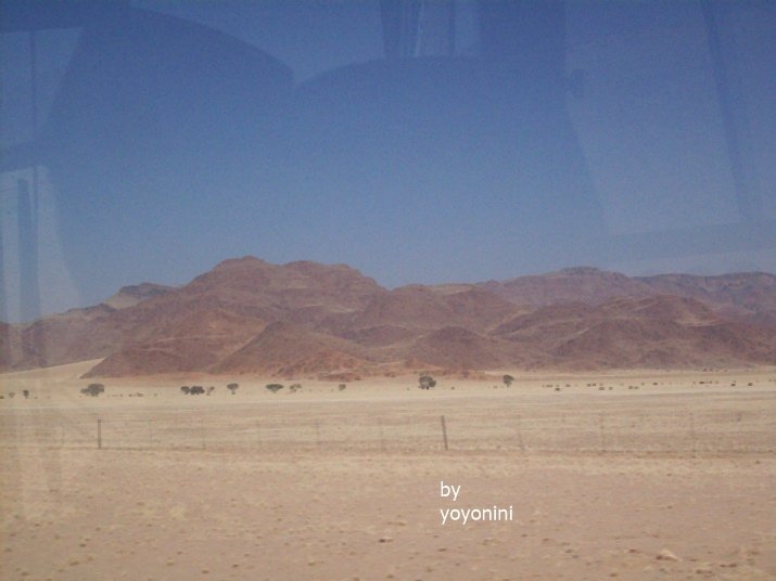 100_3336路上一景.JPG