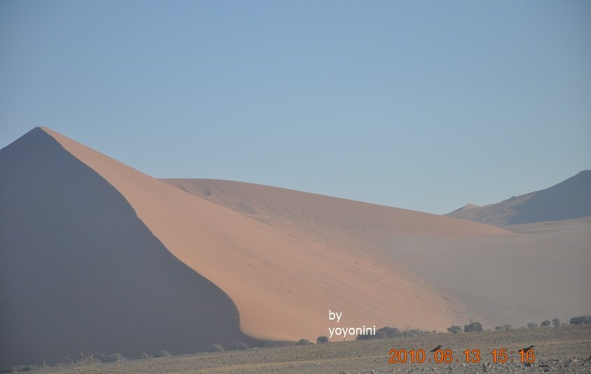 DSC_0575下一景.JPG