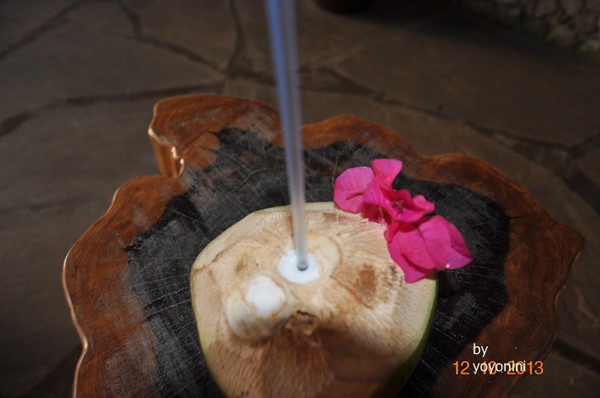 DSC_0353椰子汁.JPG