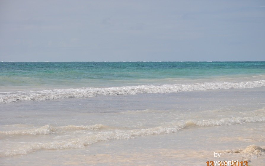 DSC_0390.JPG