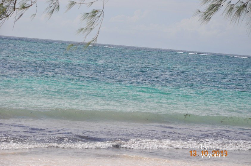 DSC_0393很美海.JPG