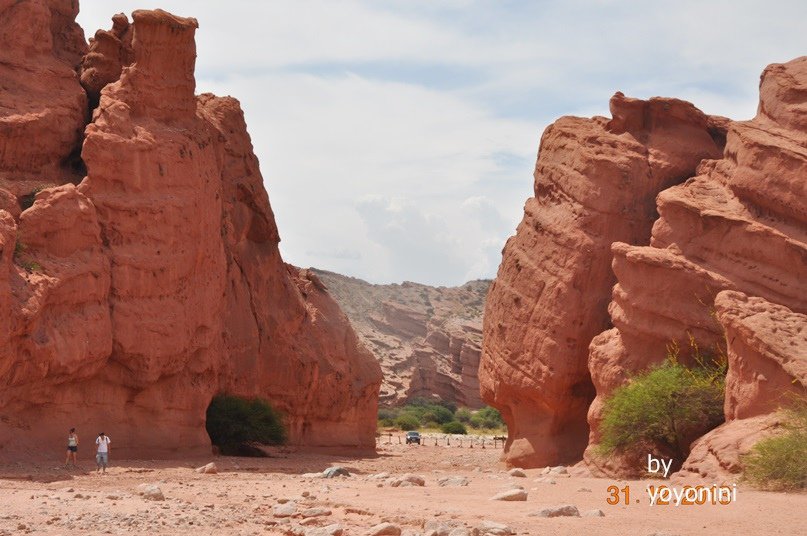 DSC_0344.JPG