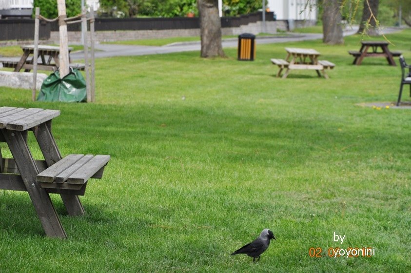 DSC_0886公園裡的角落.JPG