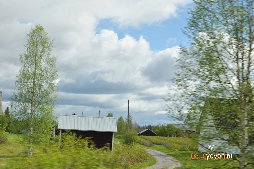 DSC_0421開車附近走走.JPG