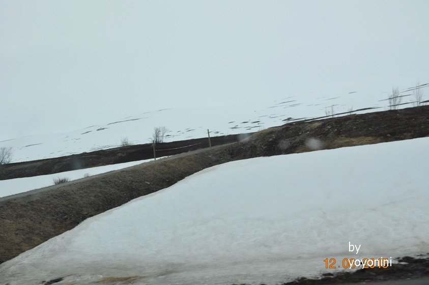 DSC_1089沿路雪景.JPG