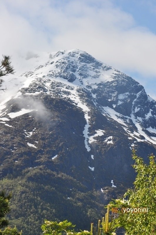 DSC_0703見到雪景.JPG