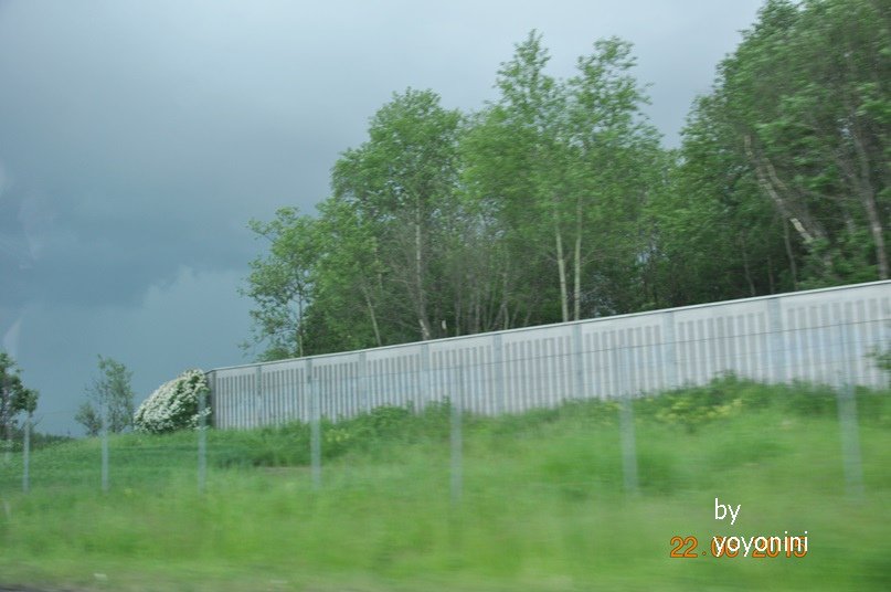 DSC_0909開車經過綠森林地.JPG