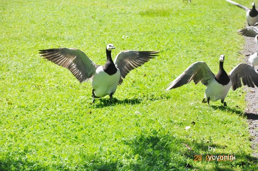 DSC_0192下一隅.JPG