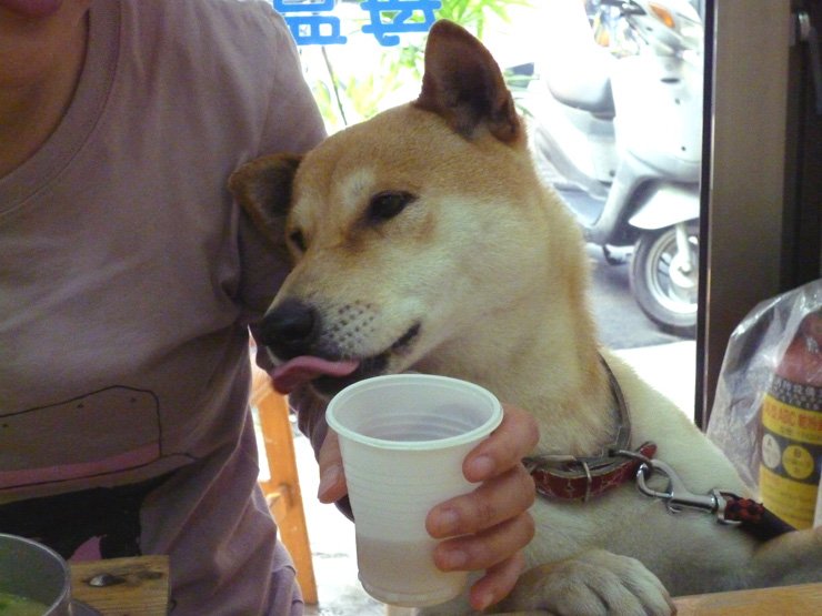 照片 111.jpg