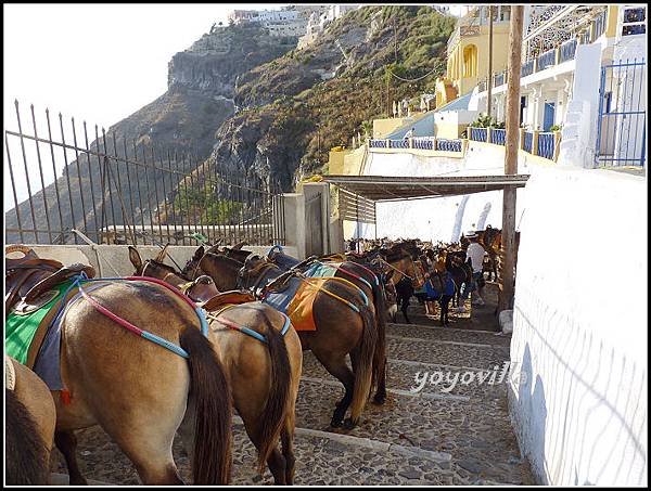 希臘 聖托里尼島 費拉 驢子大道 Fira, Santorini， Greek 