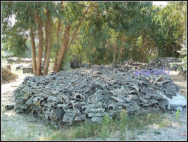 葡萄牙 環狀列石 Almendres,Evora,Portugal