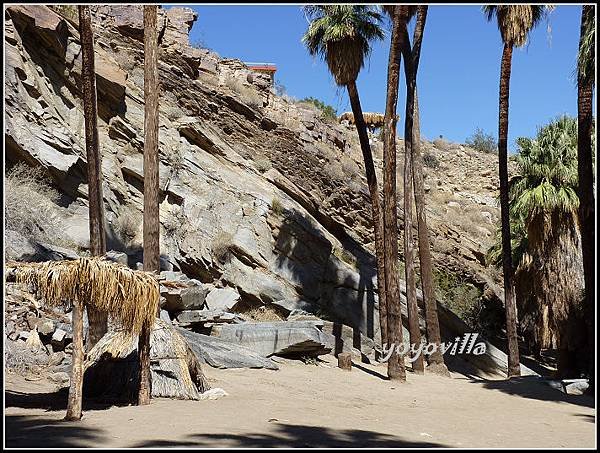 美國 加州 棕 櫚泉 印地安峽谷 峽谷部分 Indian Canyons, Palm Springs, CA, USA