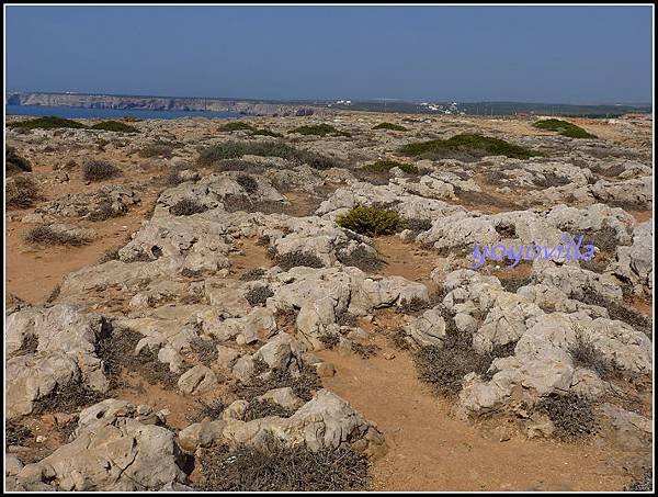 葡萄牙 薩格里什 Sagres, Portugal 