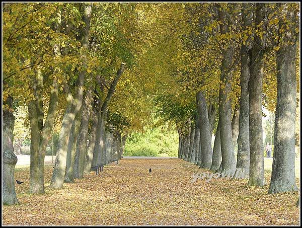 秋天的顏色 Autumn in Germany