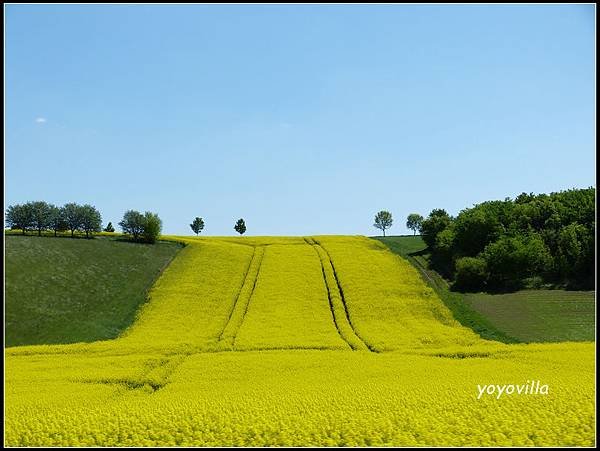 德國 圖林根 田園景色 Thüringen, Germany