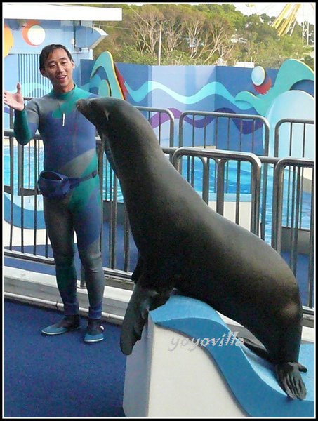 香港 海洋公園 Ocean Park, Hong Kong